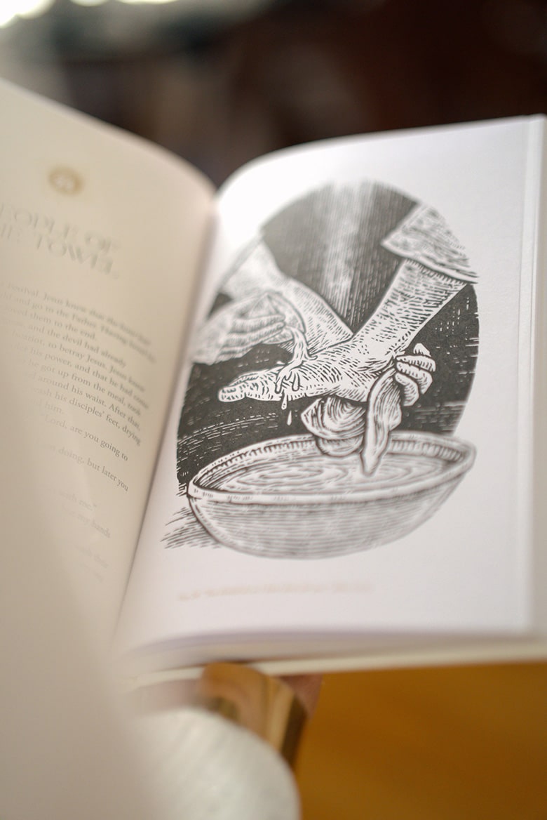 54179254932_d7b31f38e0_k-web