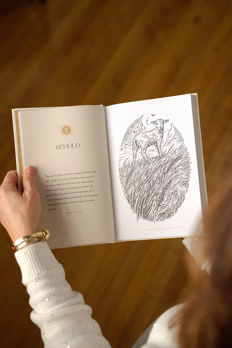 54180580805_e68a3ff672_k-web