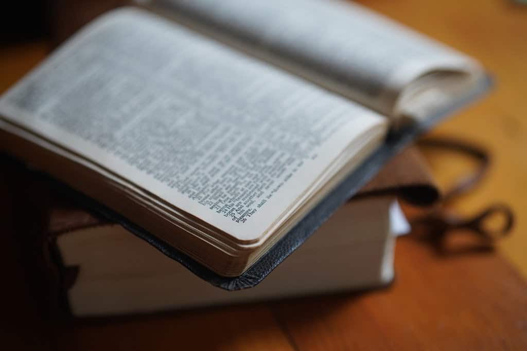 This image has an empty alt attribute; its file name is 51914139784_9cdda2bda7_b.jpg