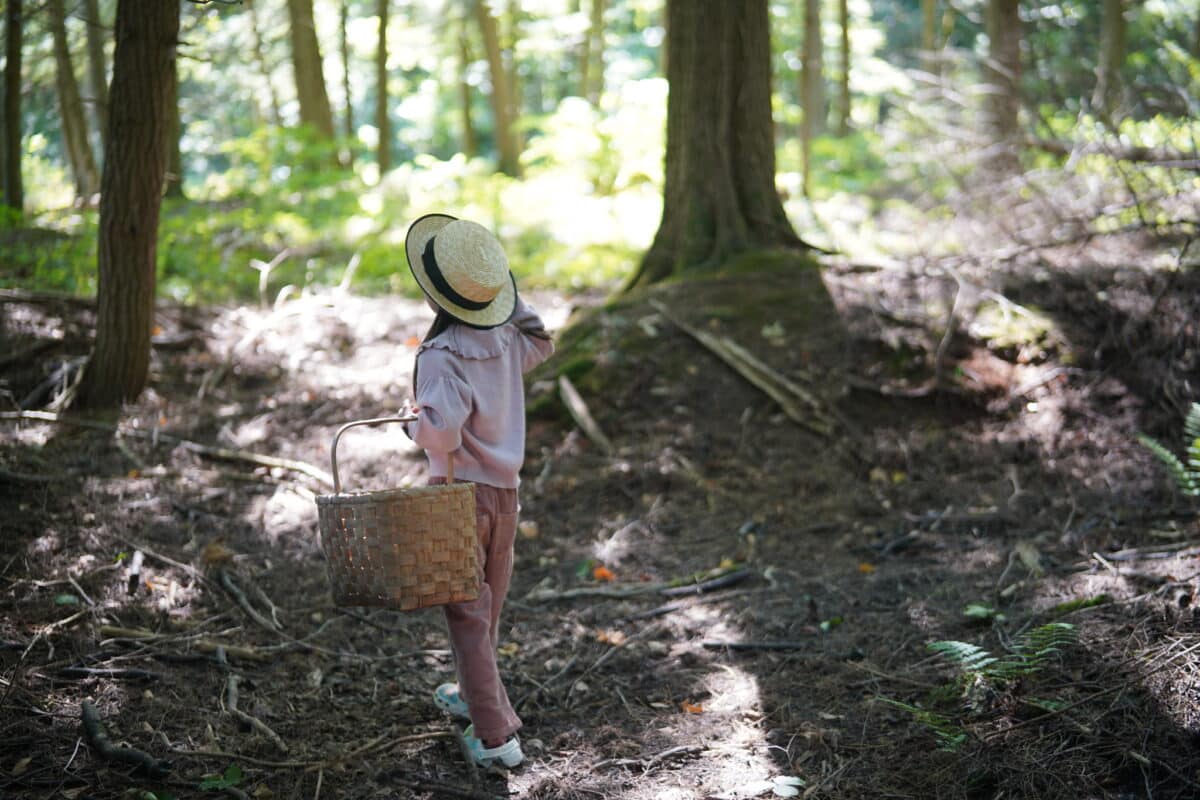 53852515409_07ae802ccc_k