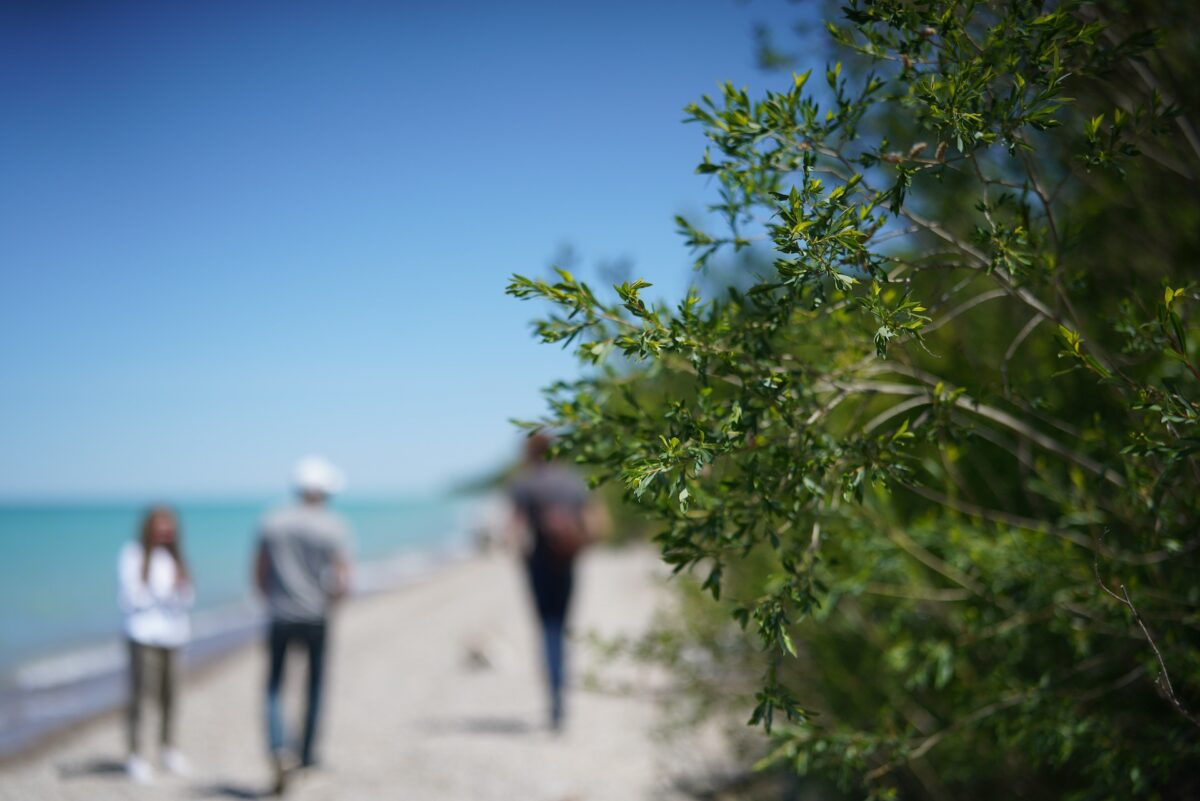 53857964646_006884707d_k