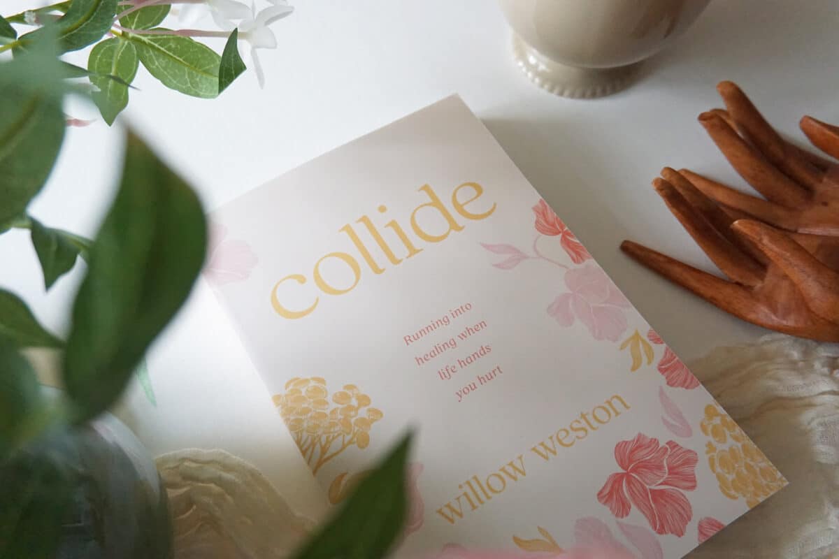 55106249576_66b411df01_k