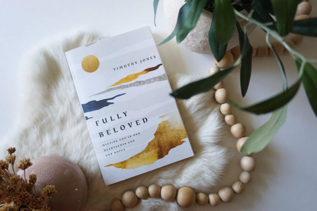 55128029942_cf5ea895aa_k