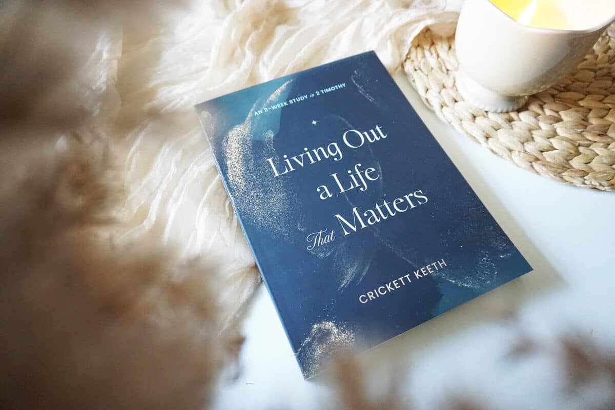 55157164257_eadf686f08_k