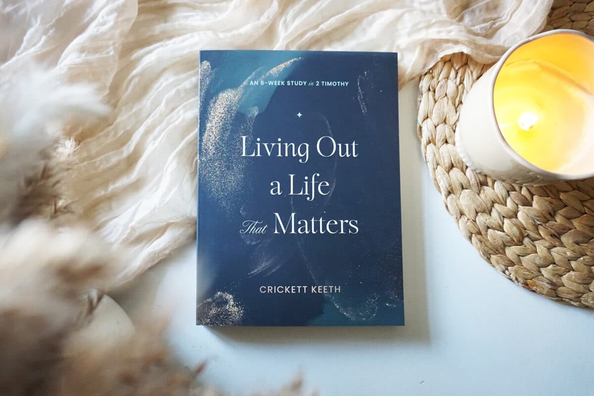 55157164272_168ee3d694_k