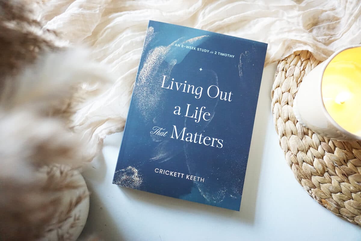 55158064546_d3c68357ea_k