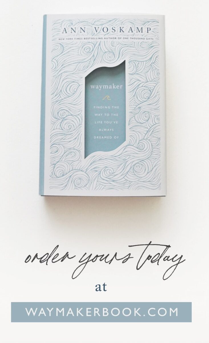 Ann-Books-IGStory-WM-2