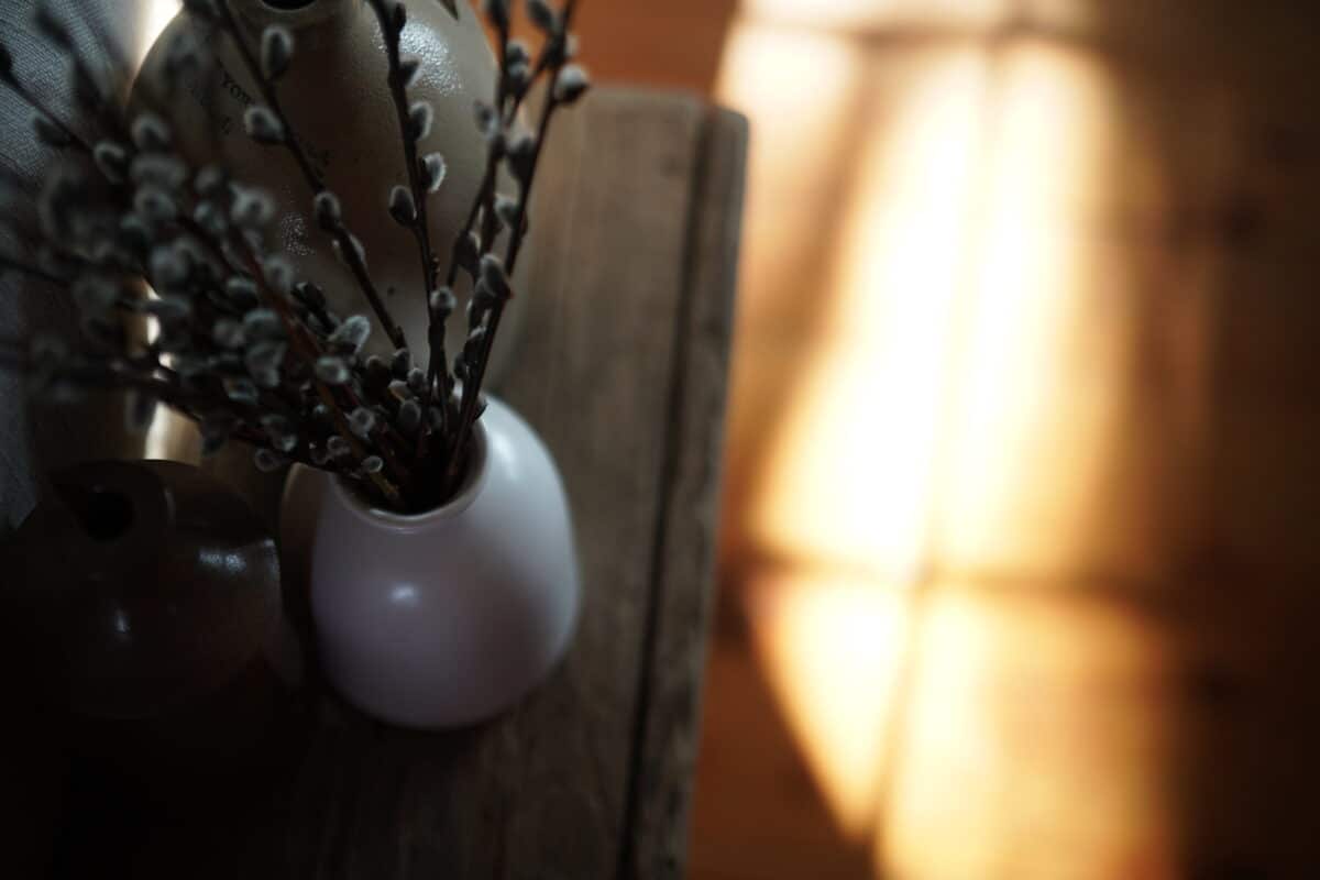 53664775199_96b4ce4828_k