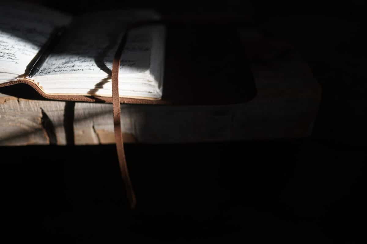 54312996796_c359105ef7_k