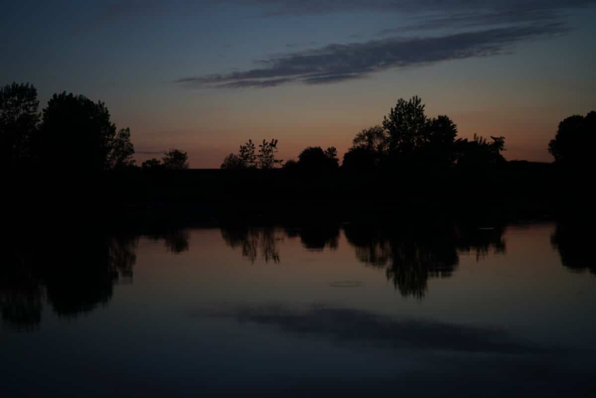 54446156960_78955b34e7_h