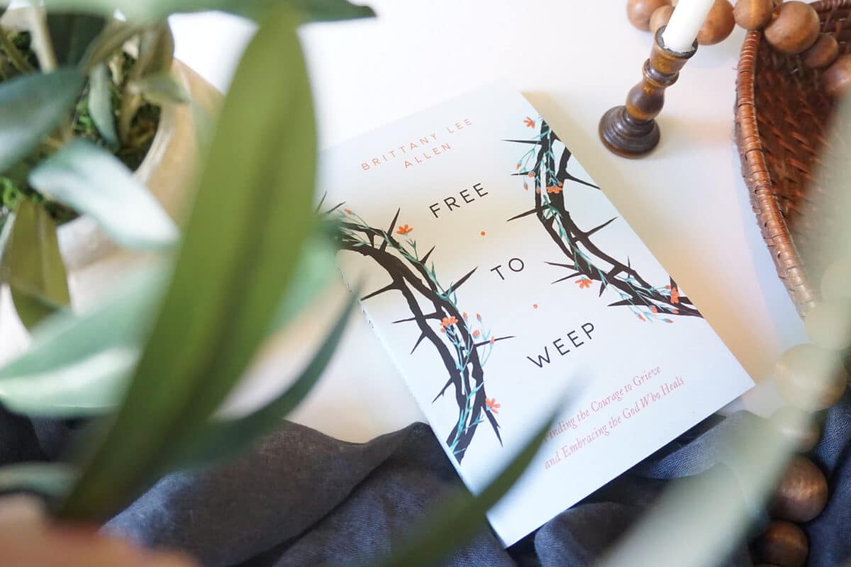 55195987627_4f902df040_k