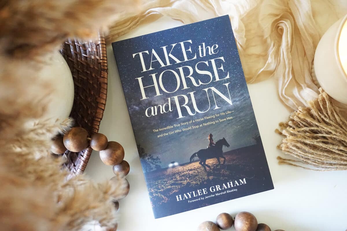 55197027873_3df226b512_k