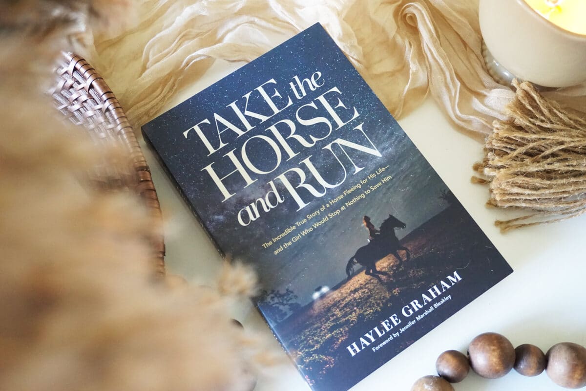 55197125829_d49edfd1b0_k