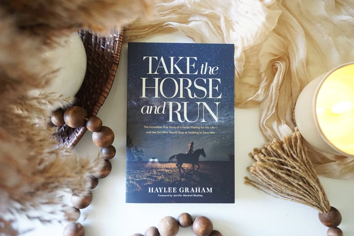 55197125864_252374af74_k