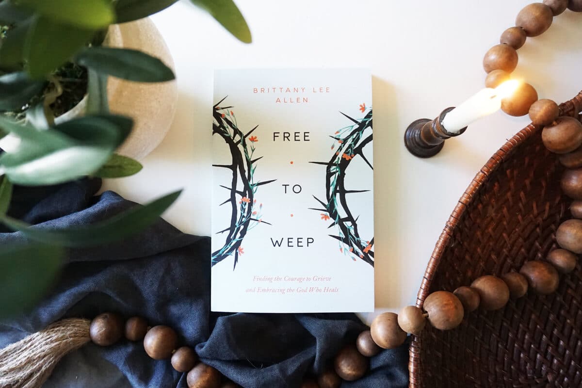 55197126234_6cdacaf1ad_k