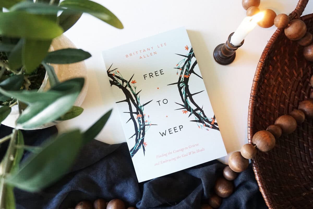 55197286170_da83a327ab_k