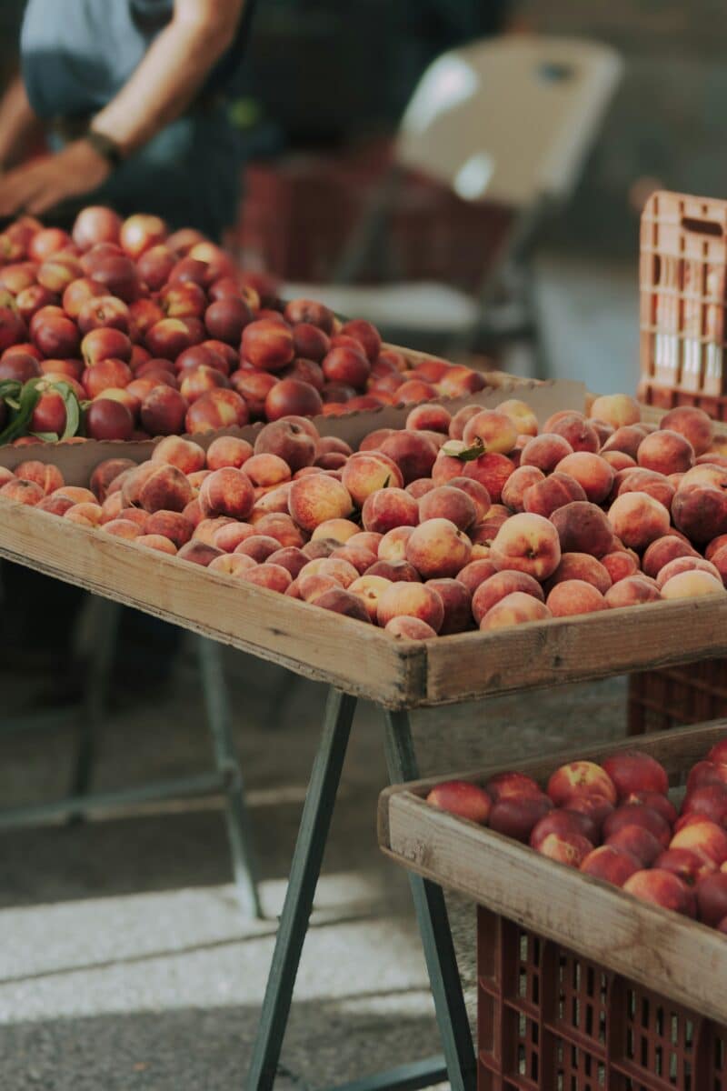 nina-mercado-HhkroPVOKDk-unsplash
