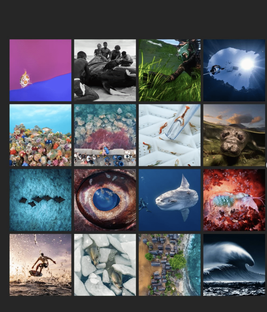 Screenshot 2026-08-15 at 12.02.07 PM